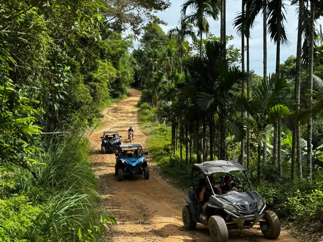 Buggys sur une piste de jungle bordee de palmiers a Koh Samui