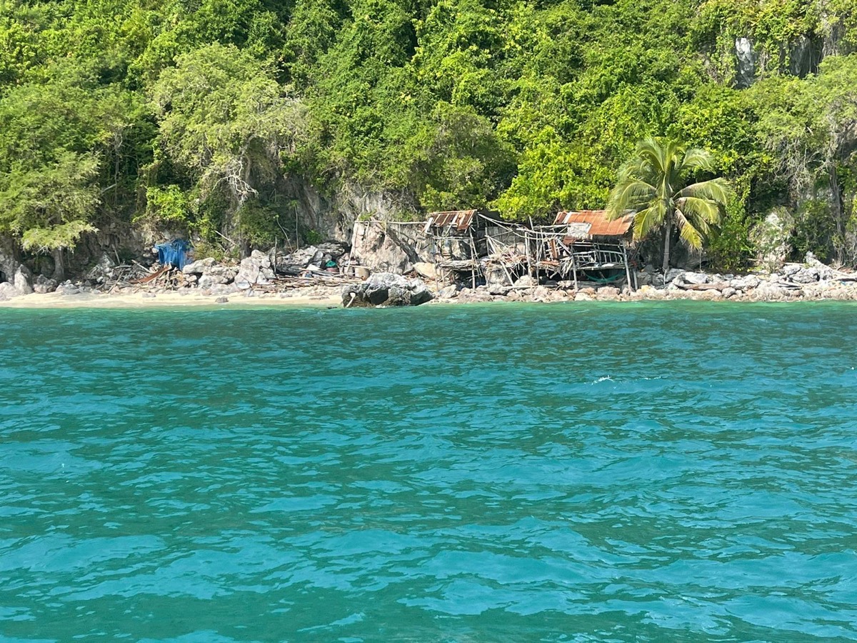 Koh Tan Tropical Fish