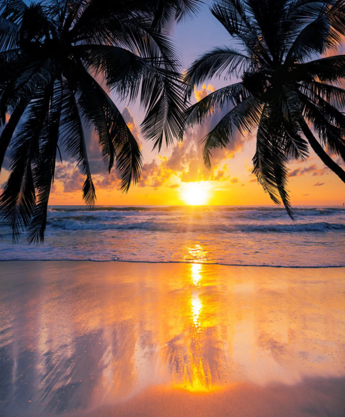 Safari Secret Viewpoint