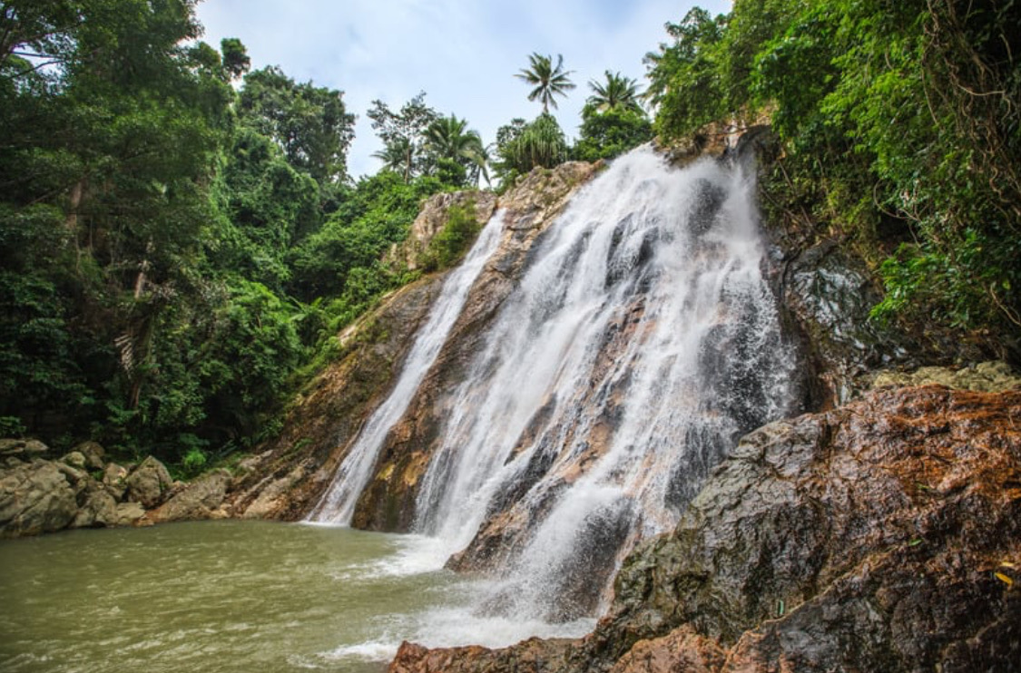 Safari Panoramic View