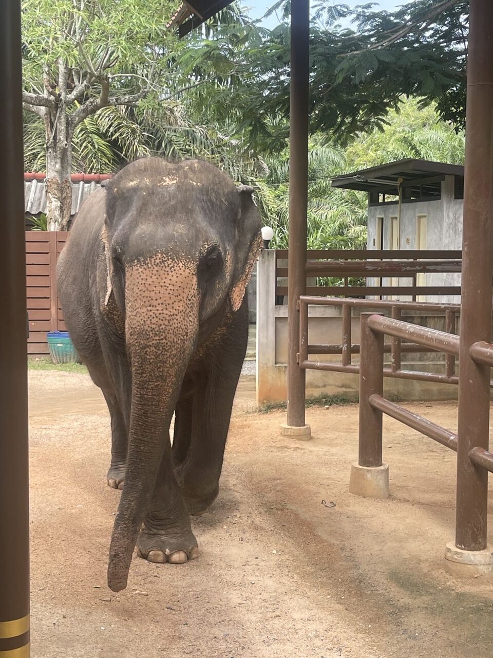 Safari Koh Samui Landscape