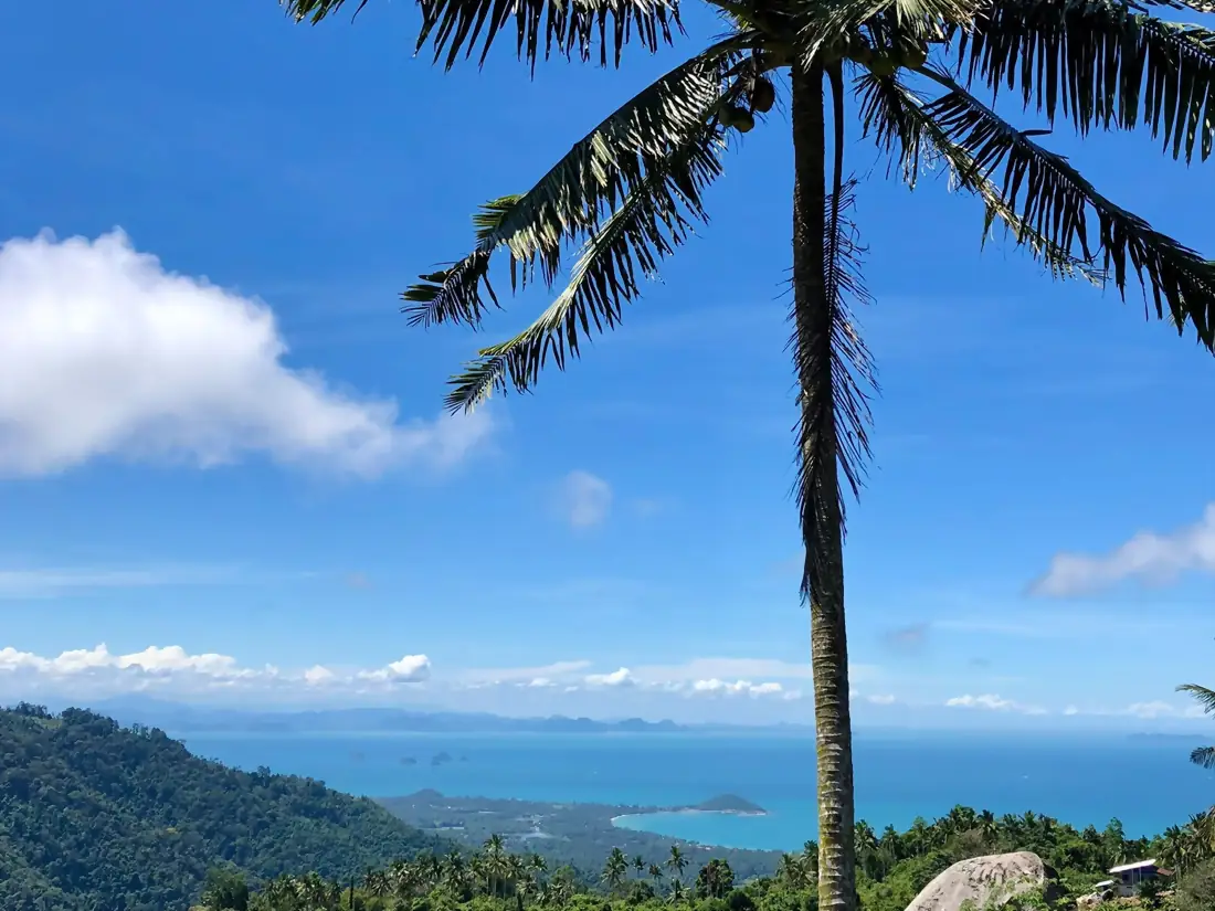 Point de vue panoramique sur la mer et les cocotiers depuis les hauteurs de Koh Samui