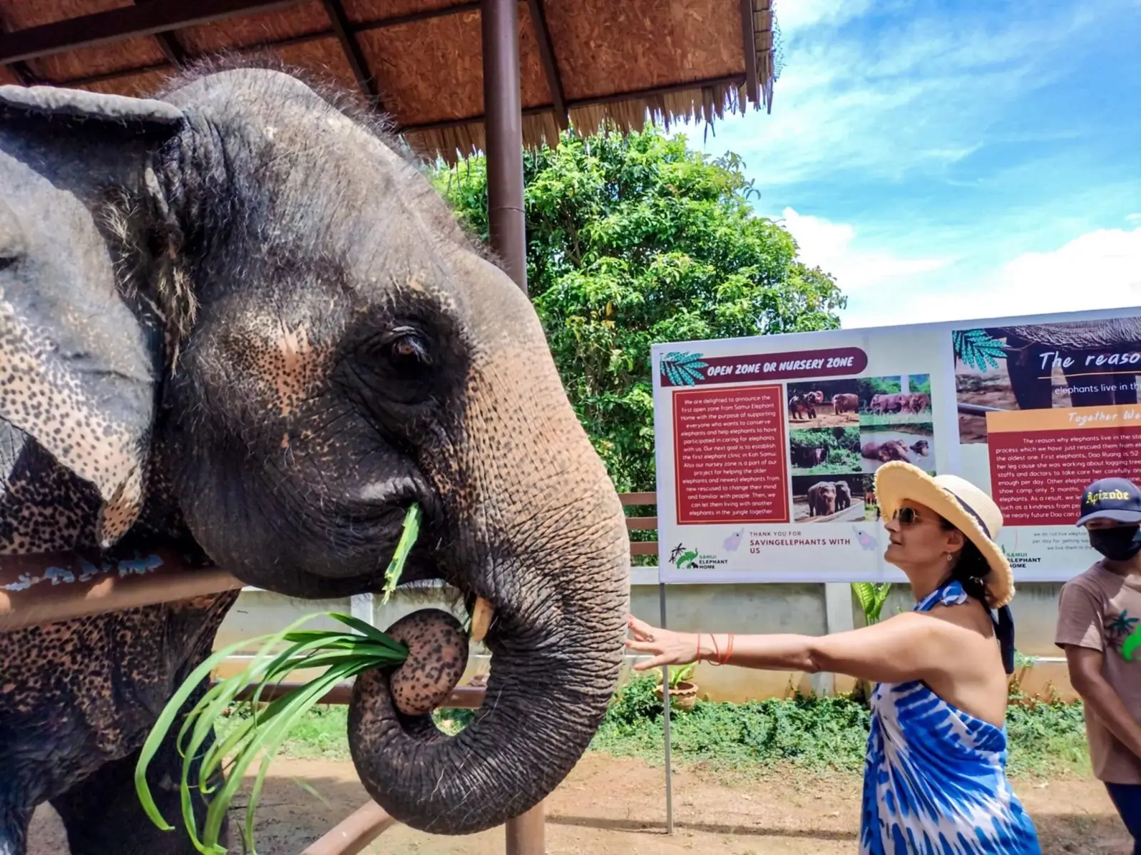 Safari 4x4 Koh Samui - jungle, elephants, waterfalls